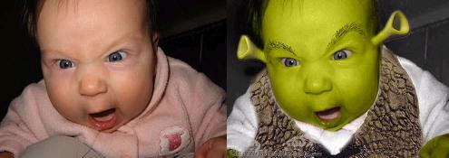 20070720095123-original-con-shrek.jpg