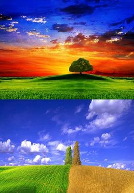 20070829094450-nature-2a.jpg
