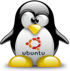 20071020120944-tux.png