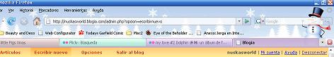 20071219132627-personas-en-firefox.jpg