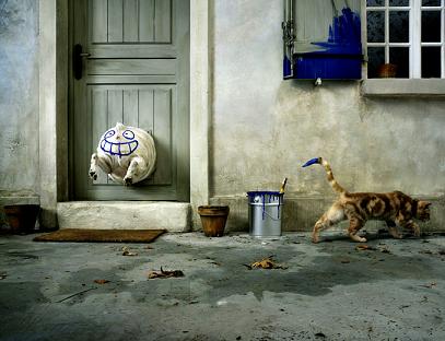 20080131142735-gato-pintura-en-perro.jpg