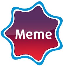 20080206170918-meme.jpg