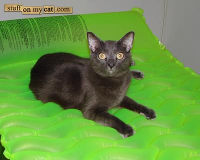 20080417143102-popit-brinkley.jpg