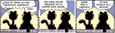 20080515103124-garfield-espanol.gif